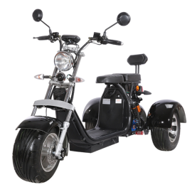 Three Wheel Bicycle Lithium Battery 60v 12ah 2000 W Tricycle 3 Wheel Electric Scooter Citycoco