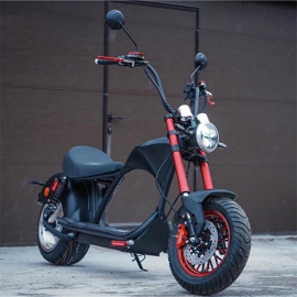 Two Wheel Scooter Motorcycle Citycoco 60V 12AH/20AH 2000W M3